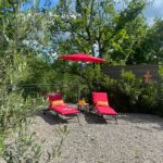 WhatsApp Image 2023-08-22 à 17.07.62